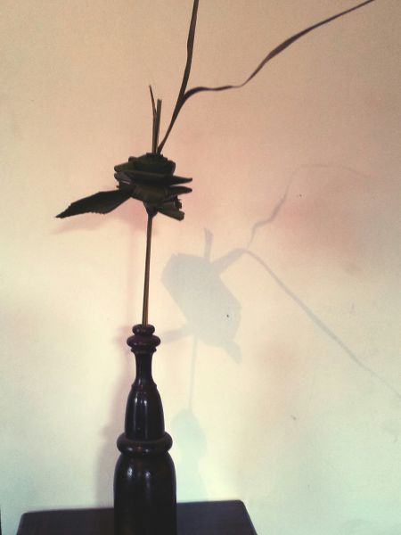 Rosa decorativa